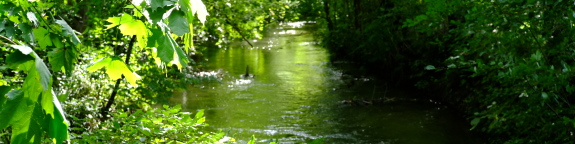 Garchinger Heide und Echinger Lohe