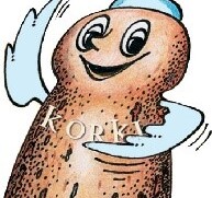 Bild Korki Bild Korki